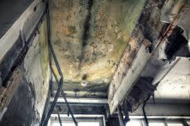 Best Mold Documentation for Insurance Claims  in Boonton, NJ